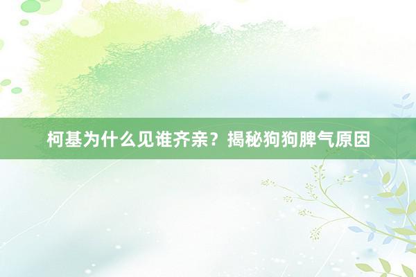 柯基为什么见谁齐亲？揭秘狗狗脾气原因